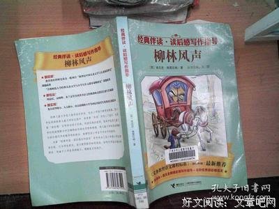 如何高效写作经典读后感有感