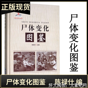 《尸体变化图鉴》读后感摘抄
