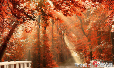 住在我背上的好朋友读后感100字