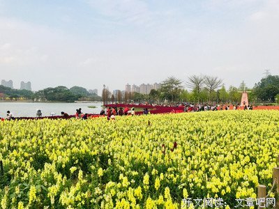 君天的语句摘抄_关于君天的语句