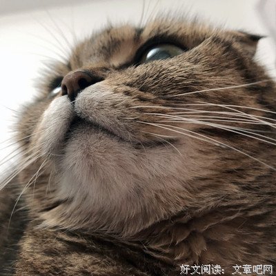 否极泰来格言警句