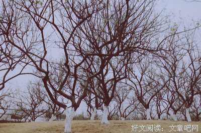 冷锋句子
