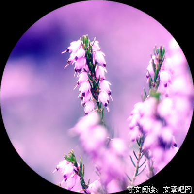 空欢喜。句子