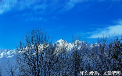 《岐路父子》好看吗？经典影评锦集