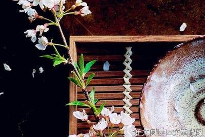 有关美句的句子