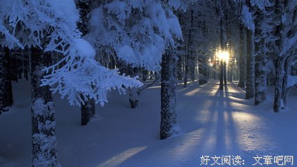 有关积累的句子