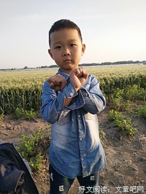 描写吴军的经典句子
