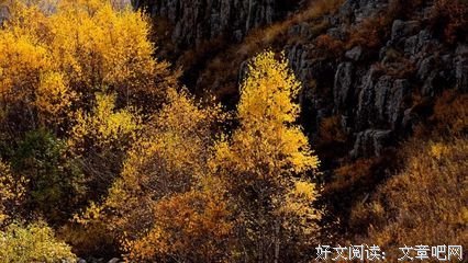 周南·关雎的名言_关于周南·关雎的名言