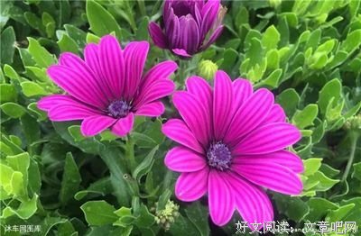 最美女人节，祝福所有女人们！