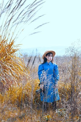 陌上桑的优美句子
