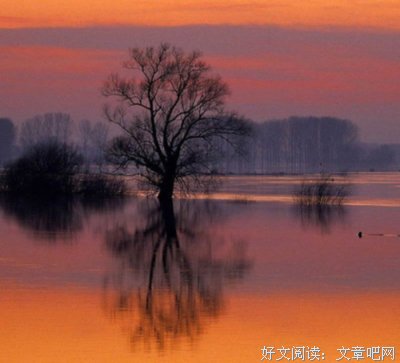 生有我的智慧，人生的感悟。经典名句