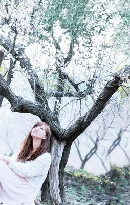 关于梦落浮华红尘的句子