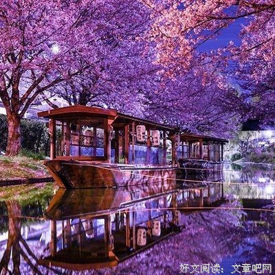 年少疯狂的优美句子