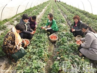 有关喜欢的作家们。文字的美好可以永久。的句子