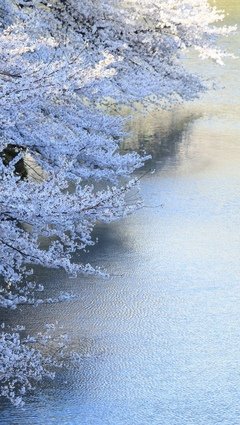《人家考素材》的句子