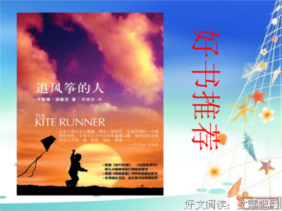 镖人读后感锦集