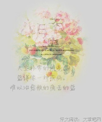 最经典的《八月未央》经典语录