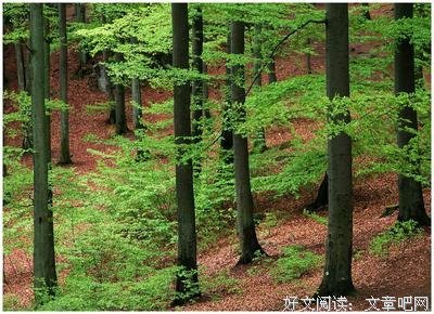 言简意赅的句子