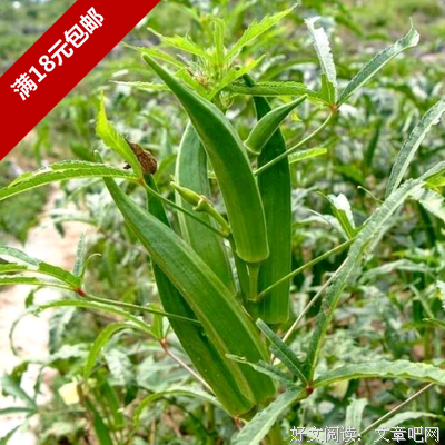 不便尽情尽兴尽风流，还可栽花种菜养闲情呀 