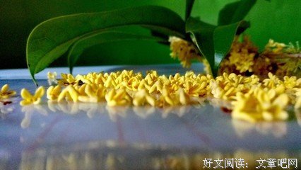 《中二里种她习小组》的句子