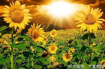简单经典的句子
