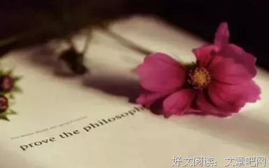 简媜的句子
