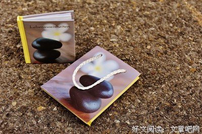 你是我的经典的句子