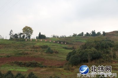 《半碗村传奇》观后感100字