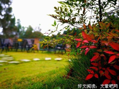 《譬如朝露》的影评大全
