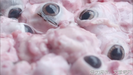 《人生一串 第二季》影评精选