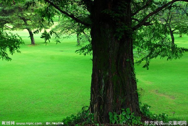 15条关于叶零的经典语句