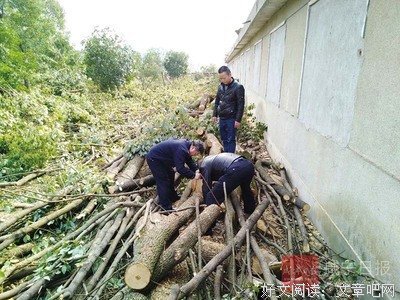 有关周嘉鱼的美句摘抄