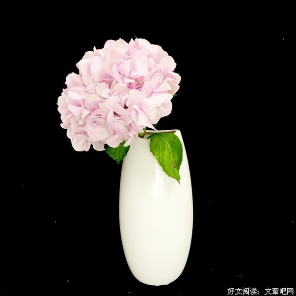 守望幸福句子大全