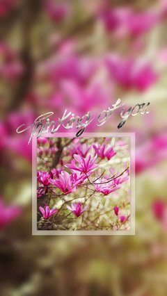 期待，春暖花开