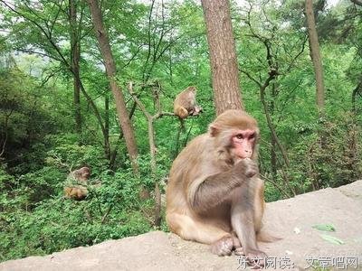 关于和睦相处的语句