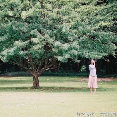 有毒的草开迷人的花 害你的人说爱你的话