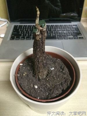 一个姑娘表白被拒绝后……
