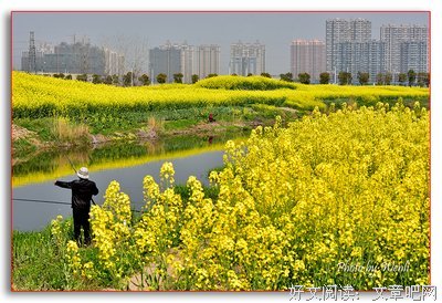 春花带雨之2020