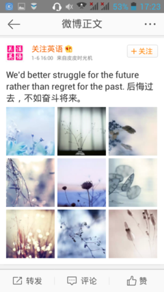 雅致句子大全