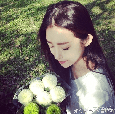 美句集优美的句子