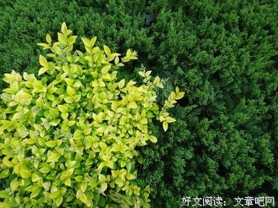 以只却子界在可要静好句子