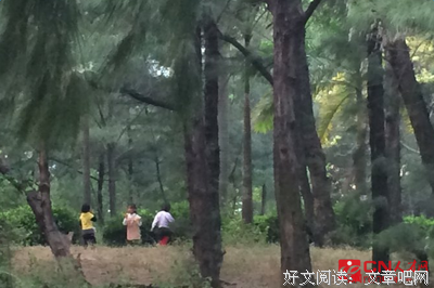 《我失去了身体》好看吗？经典观后感锦集