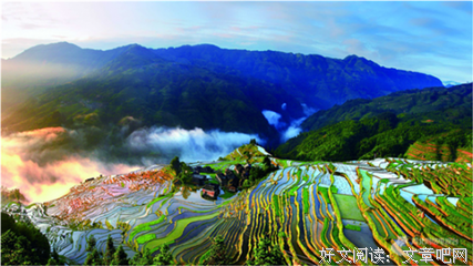 《巅峰之夜》经典观后感集