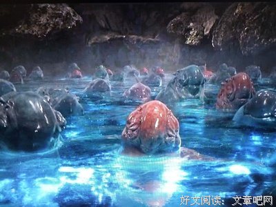 《宠物医院》经典影评1000字