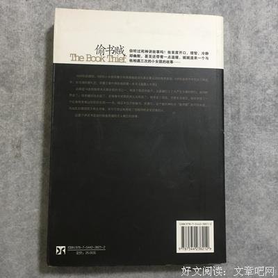 偷书贼读后感100字