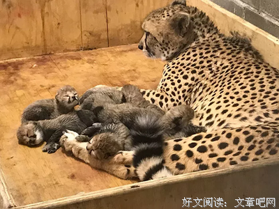 哭丧着脸格言警句