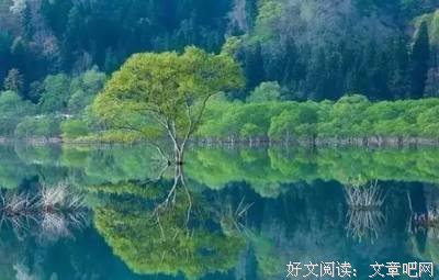 唐周紫苏格言警句