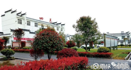 从首富到乞丐，他究竟经历了什么？