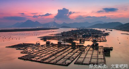表她种爱意优美的句子