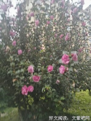 一旦犯了这三个大忌，累死也教不出有出息的孩子